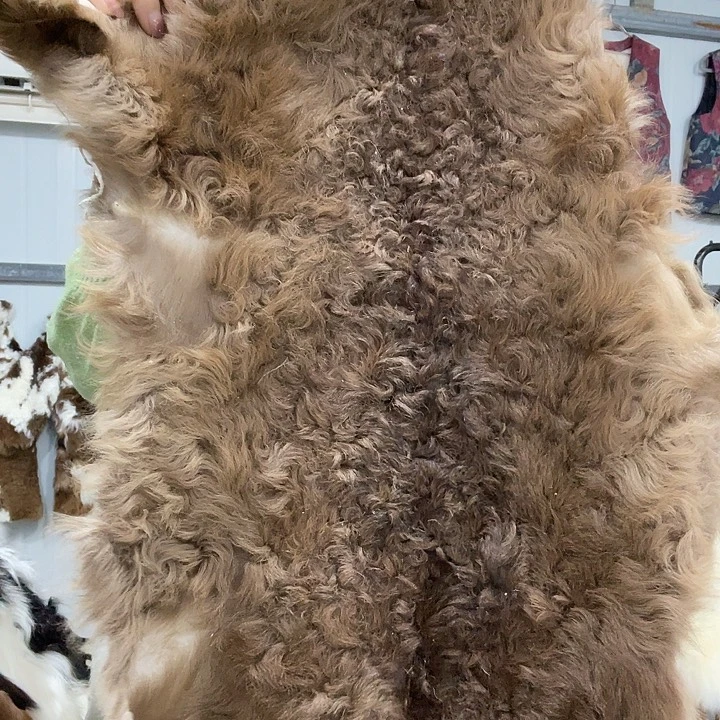 羊皮双面款羊羔皮