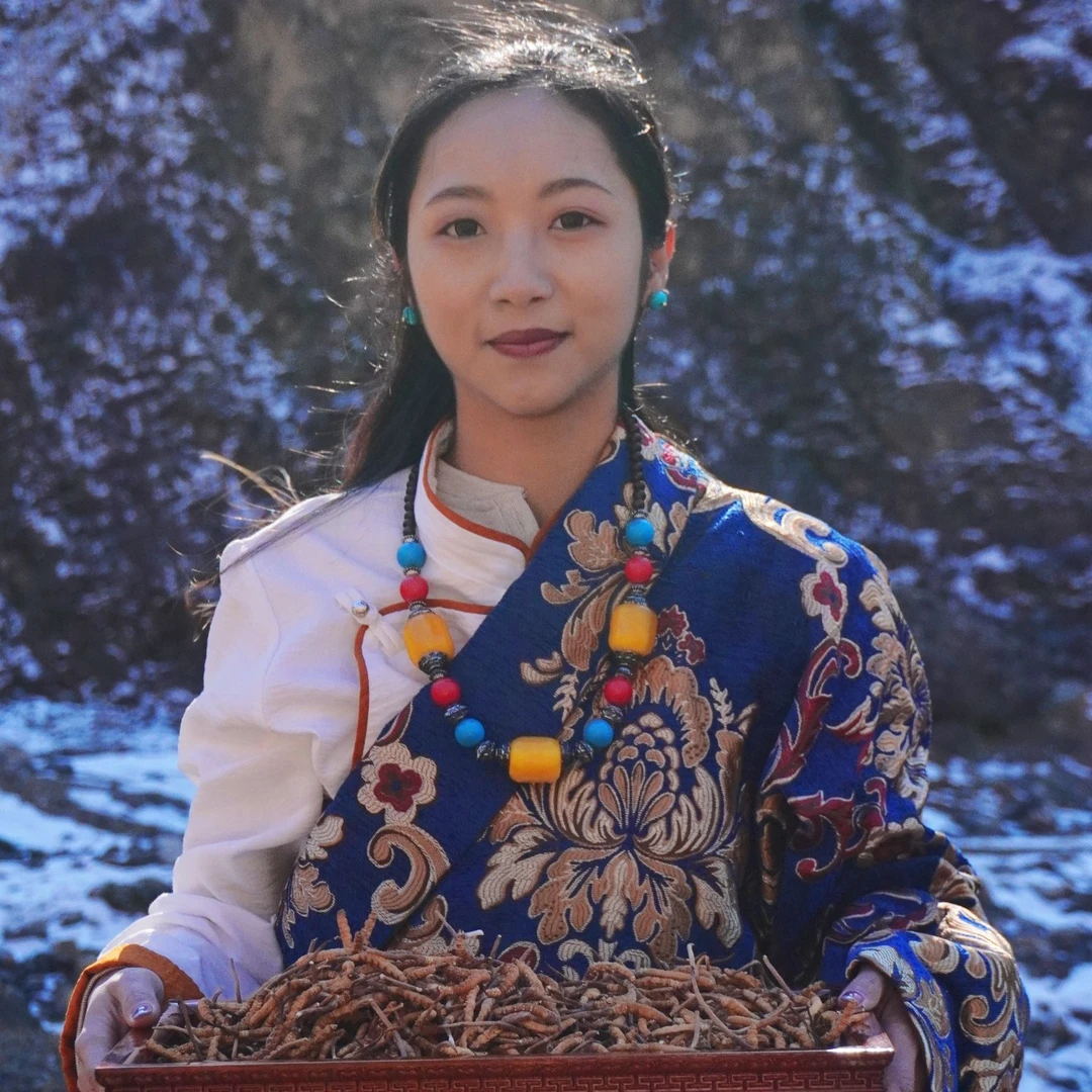 【大断草】精选2025年头期干冬虫夏草送礼滋补