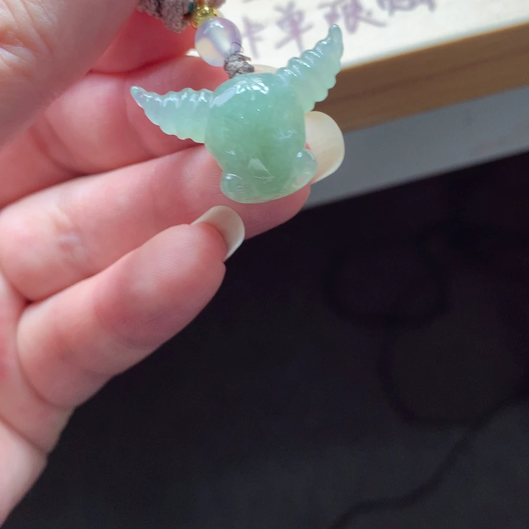 翡翠颈饰未镶嵌吊坠