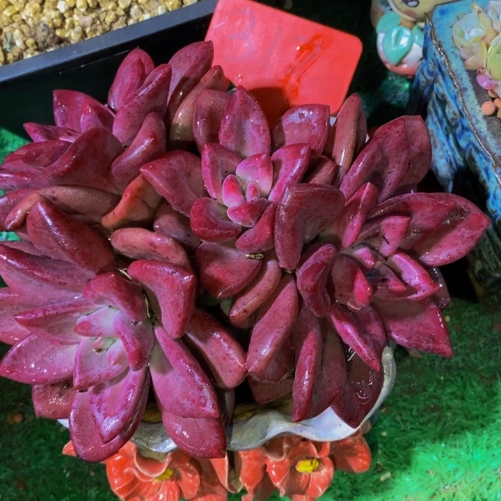 你不去上班就好哦