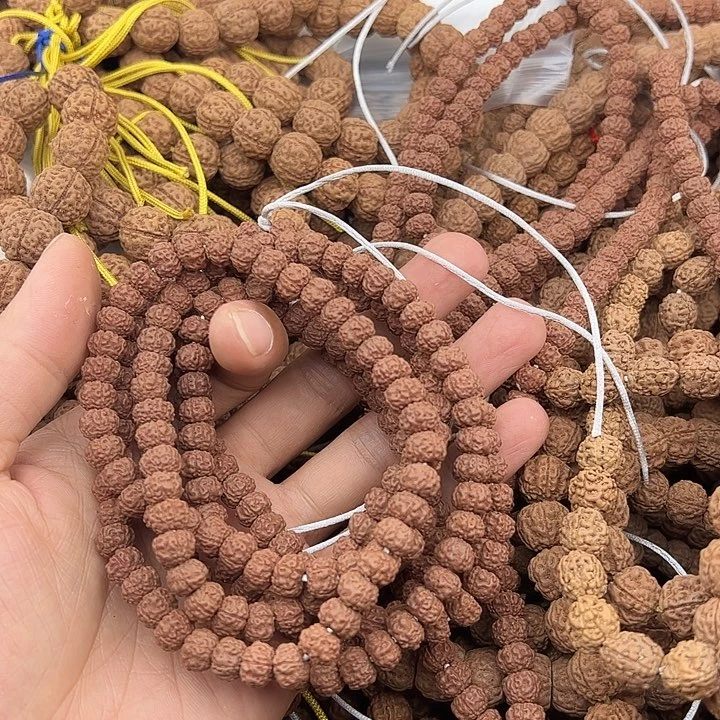 木***熙手串金刚菩提谢谢