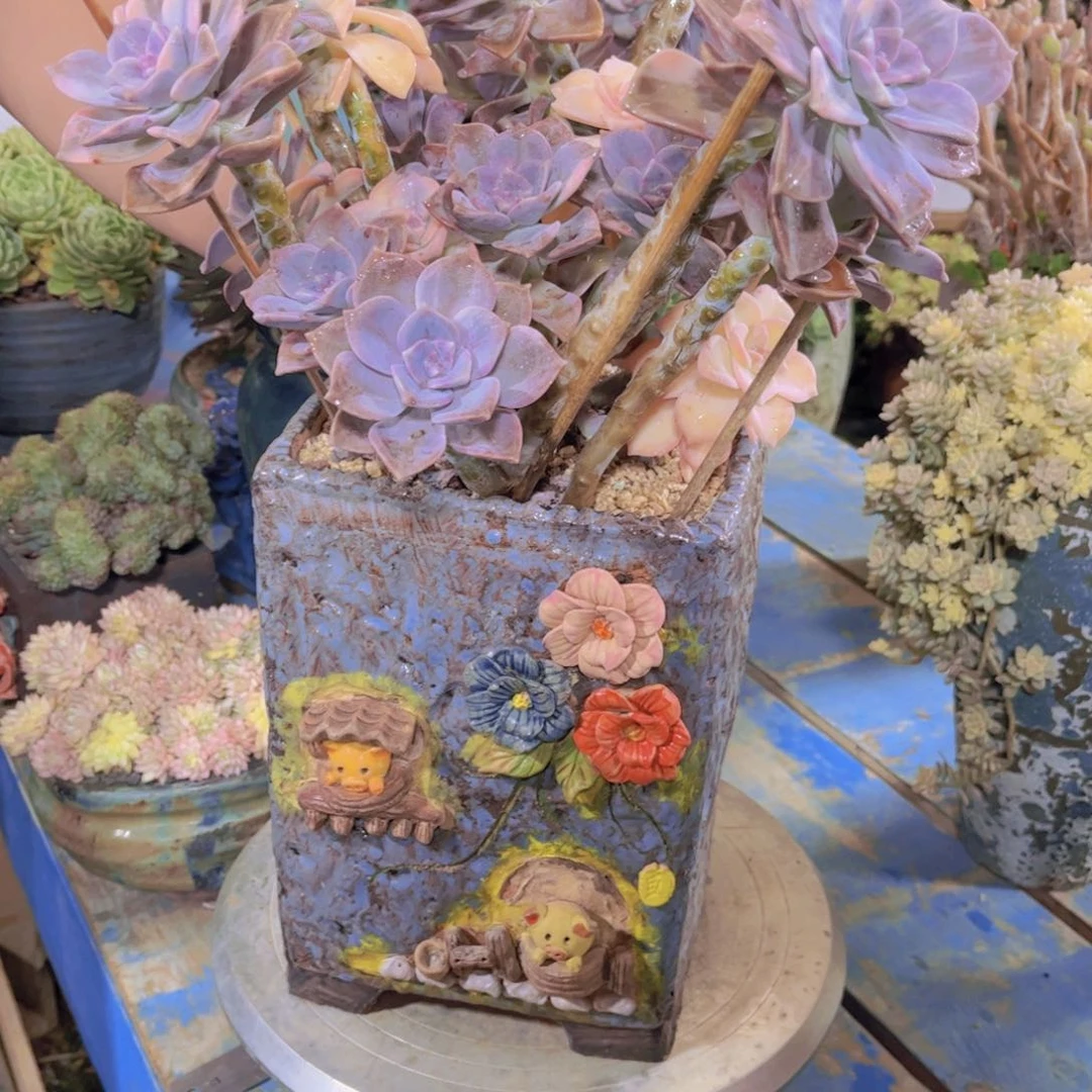 小***麻多肉植物保护研究所的科学家
