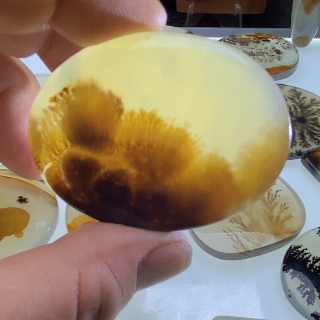 【闪购商品】未镶嵌颈饰玛瑙/玉髓新**天