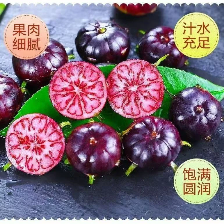【顺丰礼盒冷链到家】云南高山蜘蛛果特色水果露天花青素水果产地发