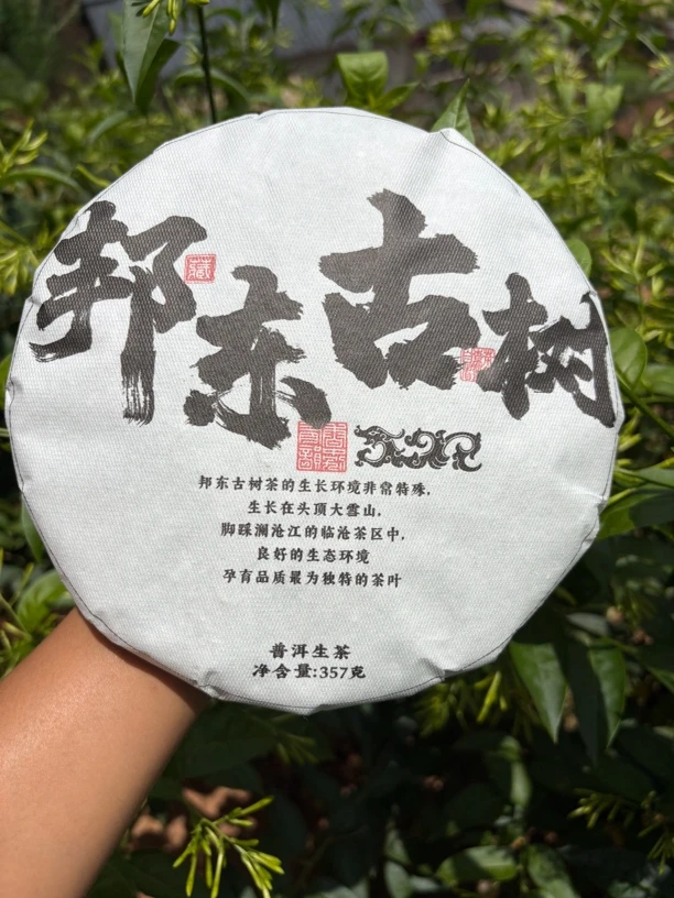 邦东古树 春茶 普洱茶生茶357g