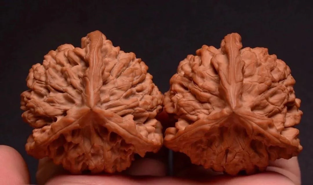 文玩核桃专拍链接（直播现实为主）