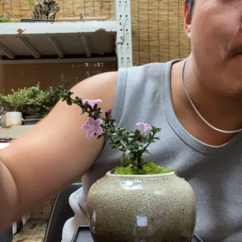 红陶管一物一拍所见即所得32