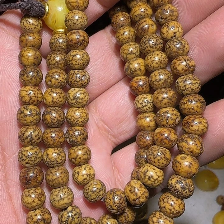 藏区老星月念珠保老