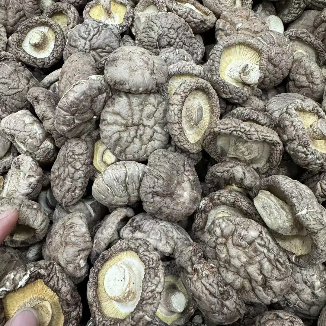 香菇 干货 原色货