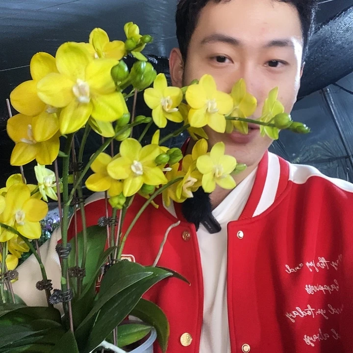 无花朵吉祥如意蝴蝶兰