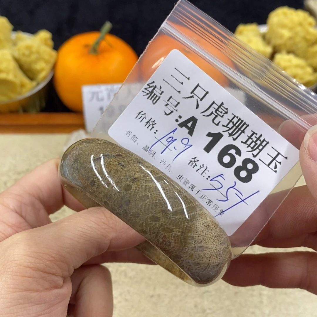 硅化珊瑚（珊瑚玉）1未镶嵌莹*