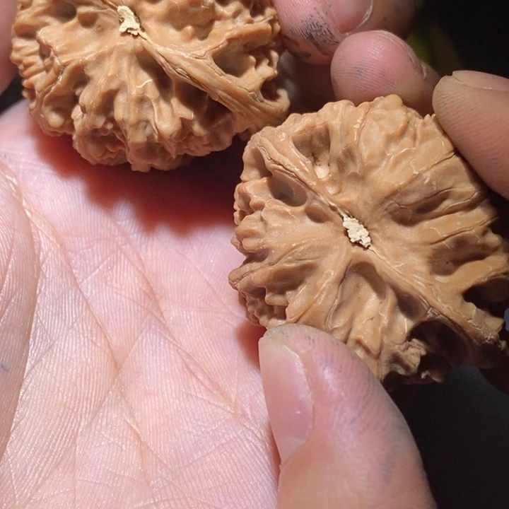 迟***沐文玩核桃吊坠精品课程的教学和