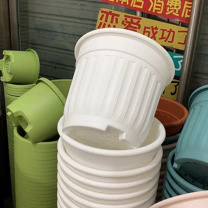 罗马口32高28白3个