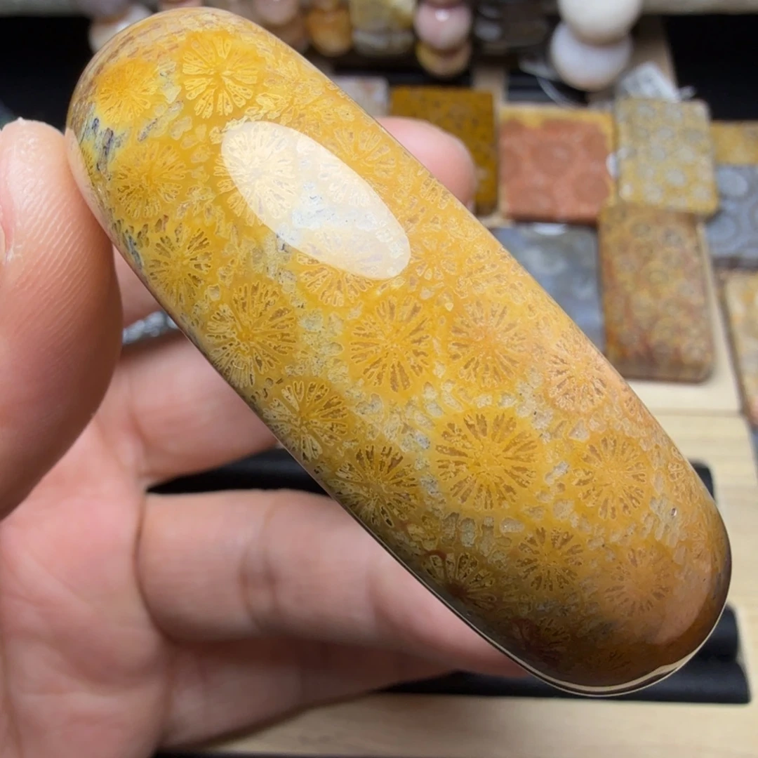 硅化玉未镶嵌纯天然色有机玉石保真色55.5圈口