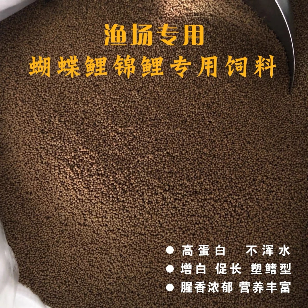 蝴蝶鲤专用高蛋白饲料55%饲料鱼粮正品淡水鱼增体增艳增红