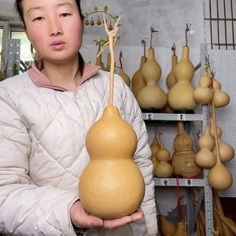 用****8天然植物葫芦文玩