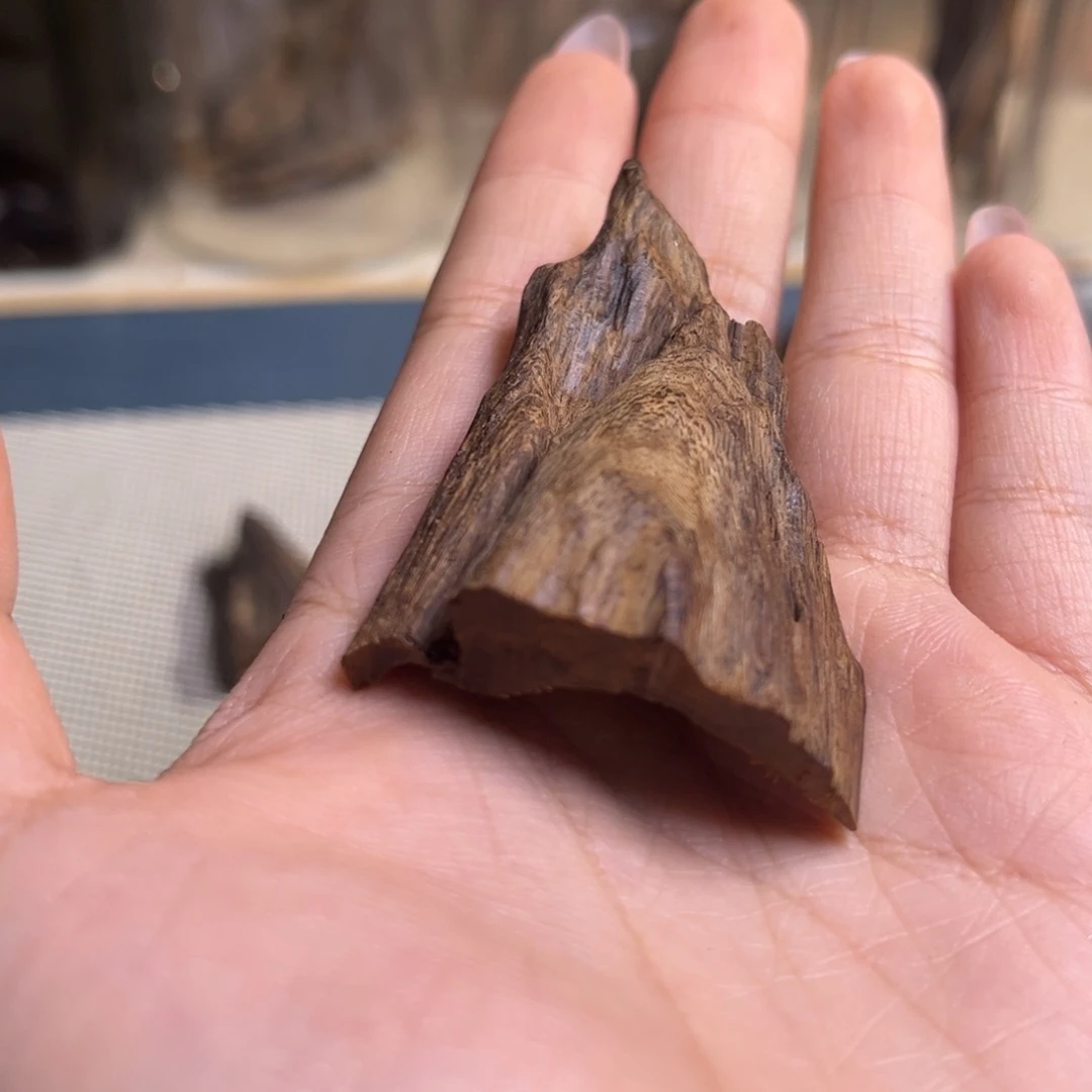 城***阳香料越南沉水黄棋树心9.3克