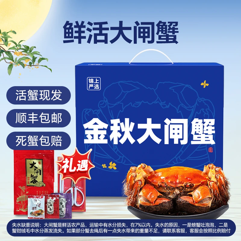 【活蟹】锦上严选大闸蟹  全母蟹2.8两/只 8只装 活蟹礼盒TZ