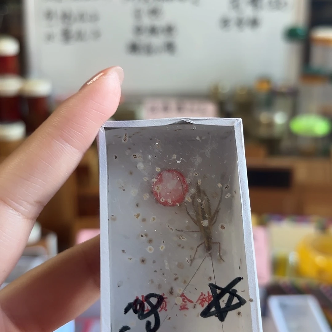 精品红山 不包断须尾