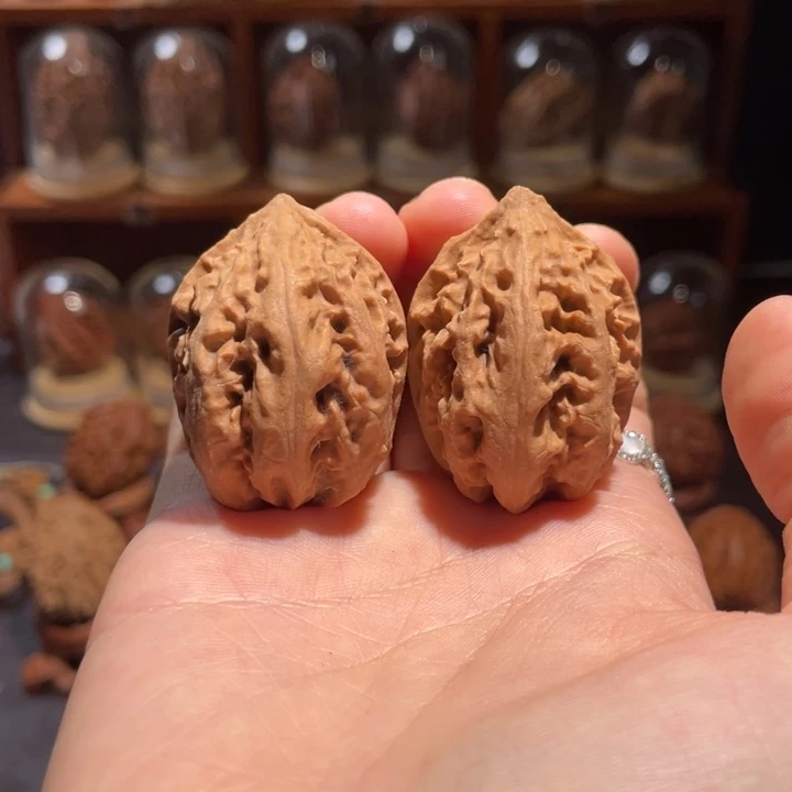 把件文玩核桃粗筋龙纹