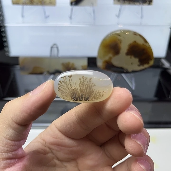 未镶嵌吊坠(不含链)玛瑙/玉髓
