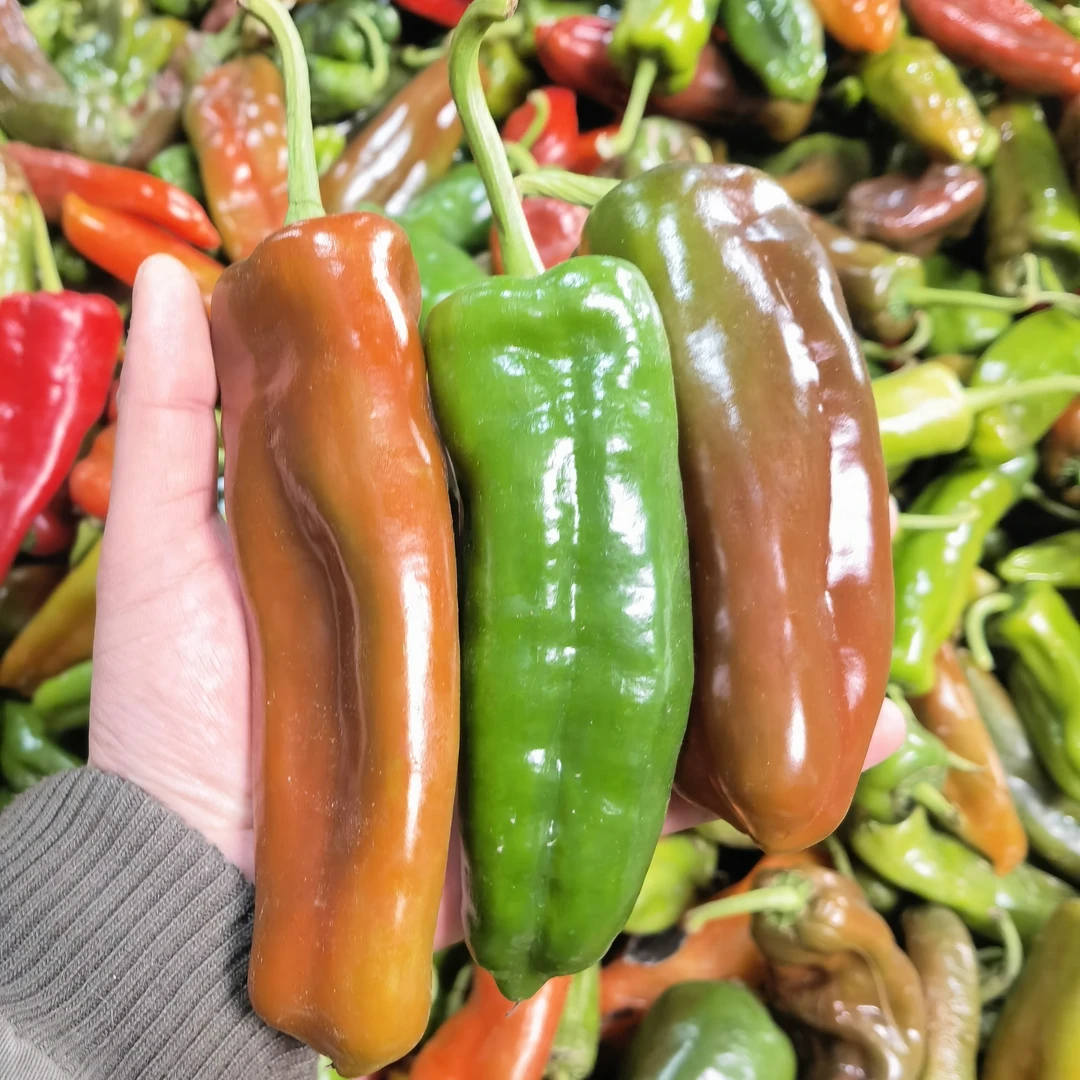 [青紫花椒]安徽芜湖农家花椒青紫花椒 彩椒，新鲜辣椒微微辣