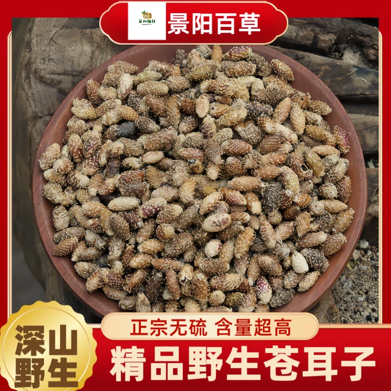 苍耳子 秦岭深山野外收集苍耳子新货老籽去刺 天然毛苍子搭配山药