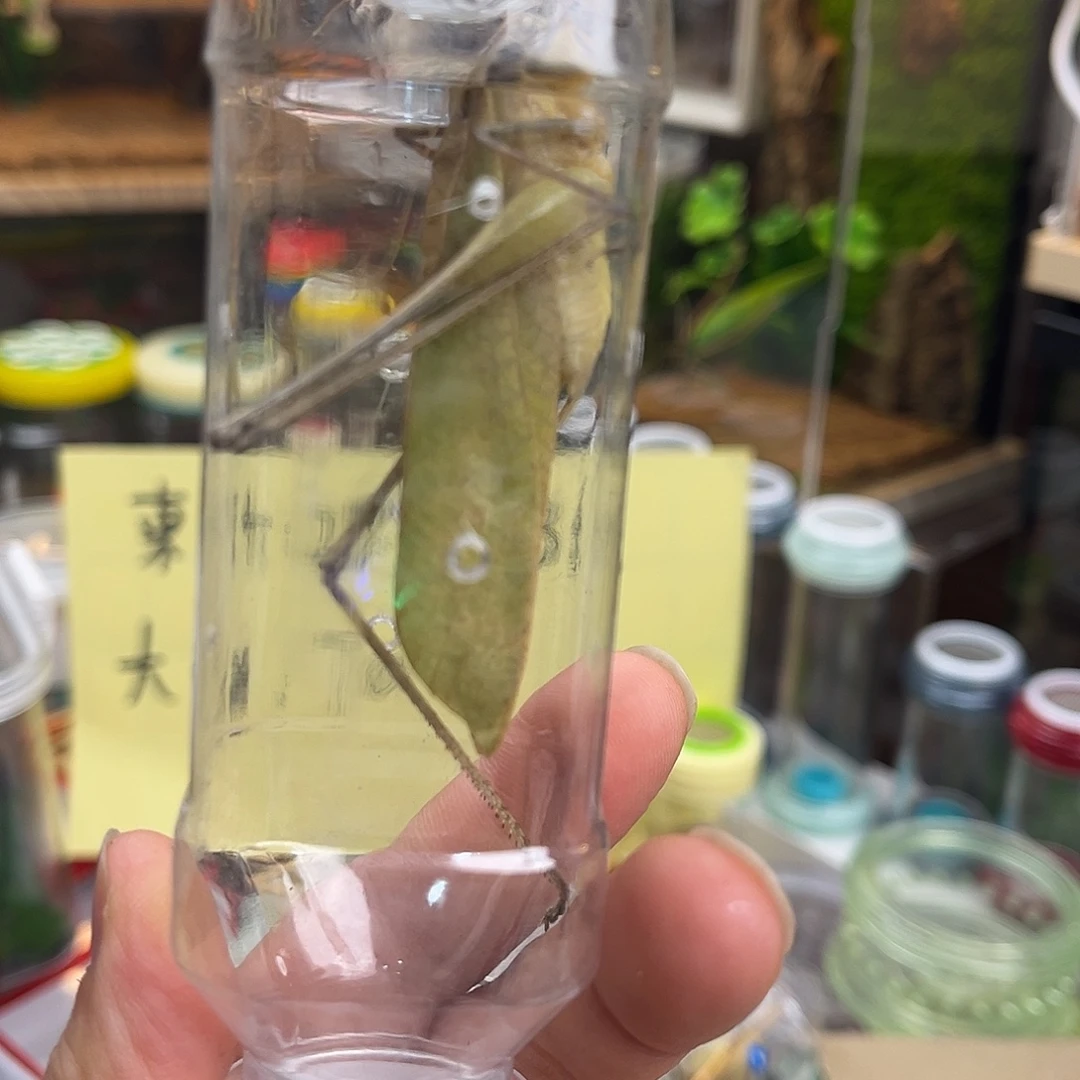 生***淡蛙坊哈哈哈哈哈哈哈