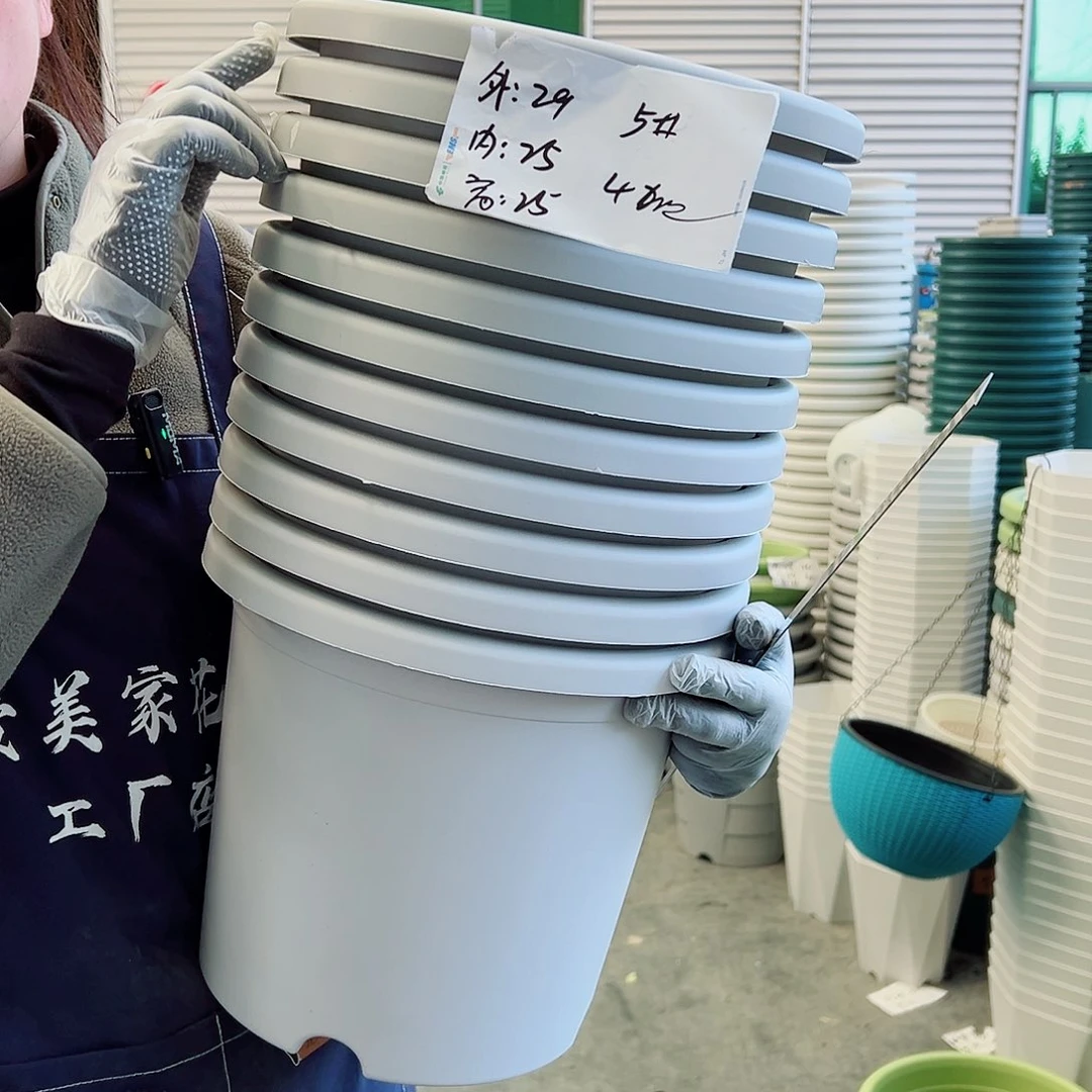四季热线5#灰白6个无托