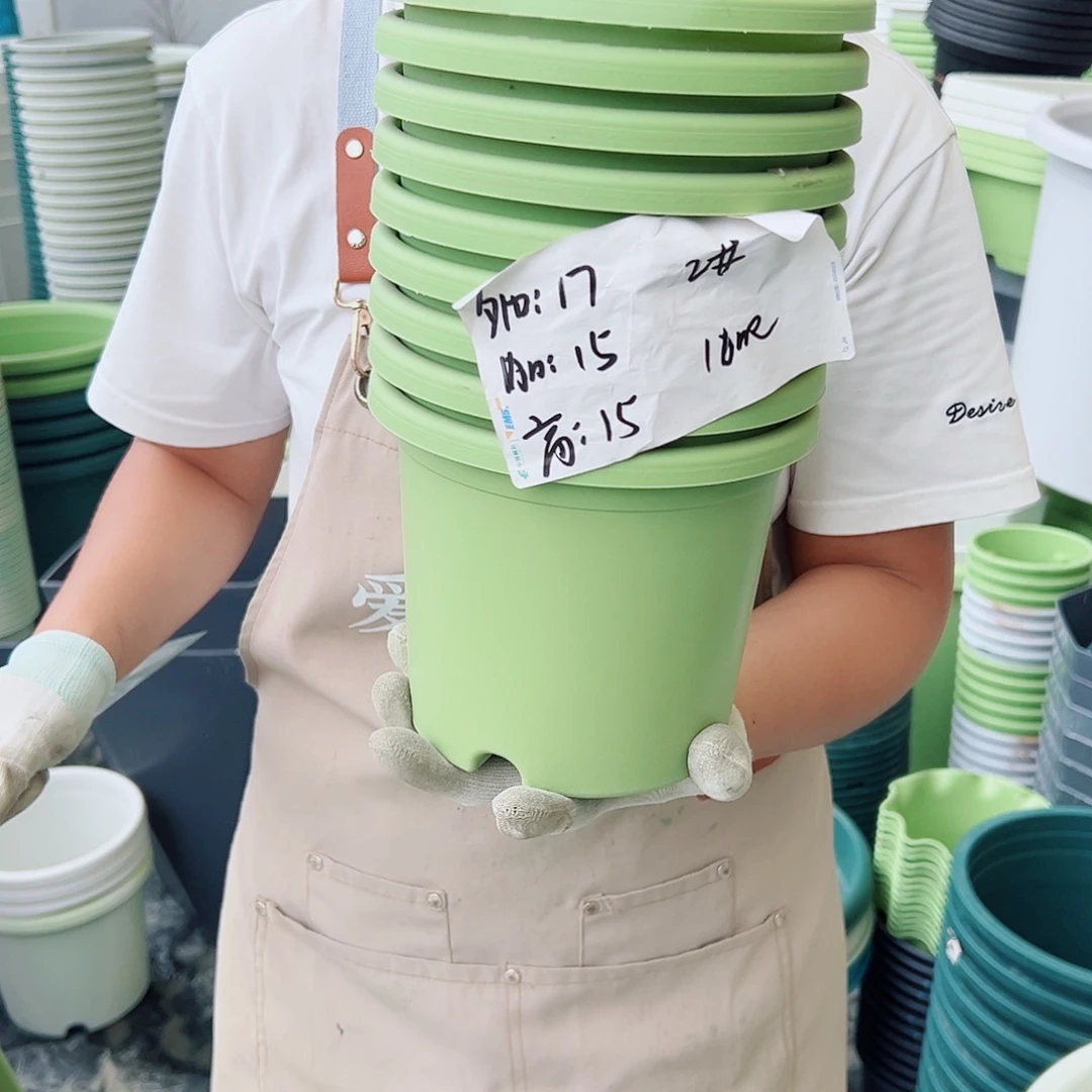 四季盆2#果绿色10个无托