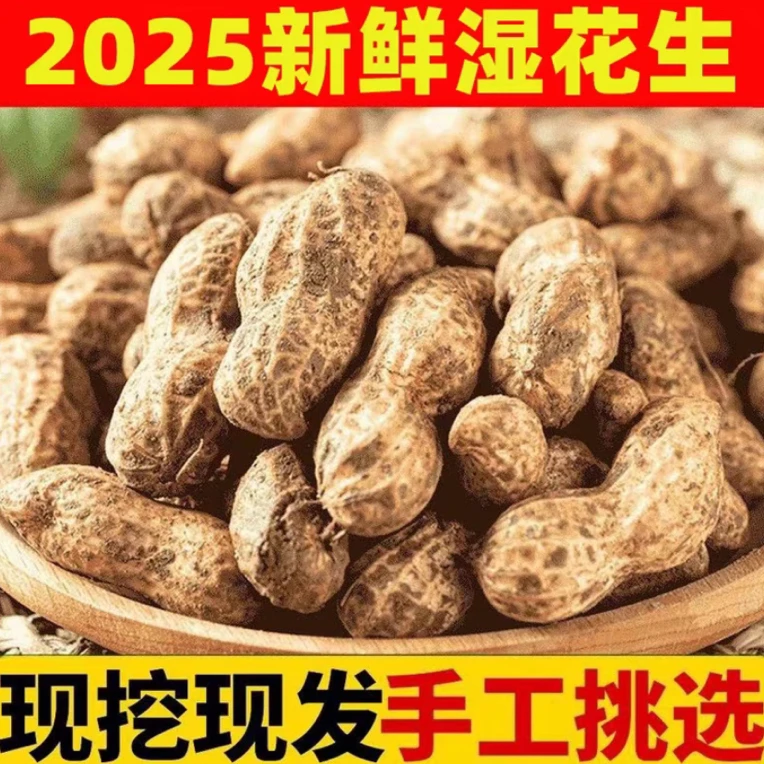 （顺丰包邮）2025农家自种新鲜花生现挖现发颗粒饱满小白沙花生
