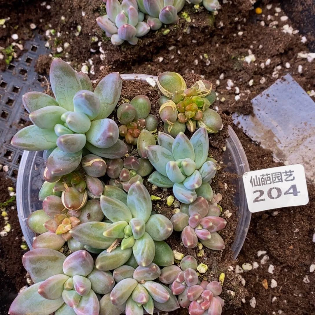 204多人在一起的时候就