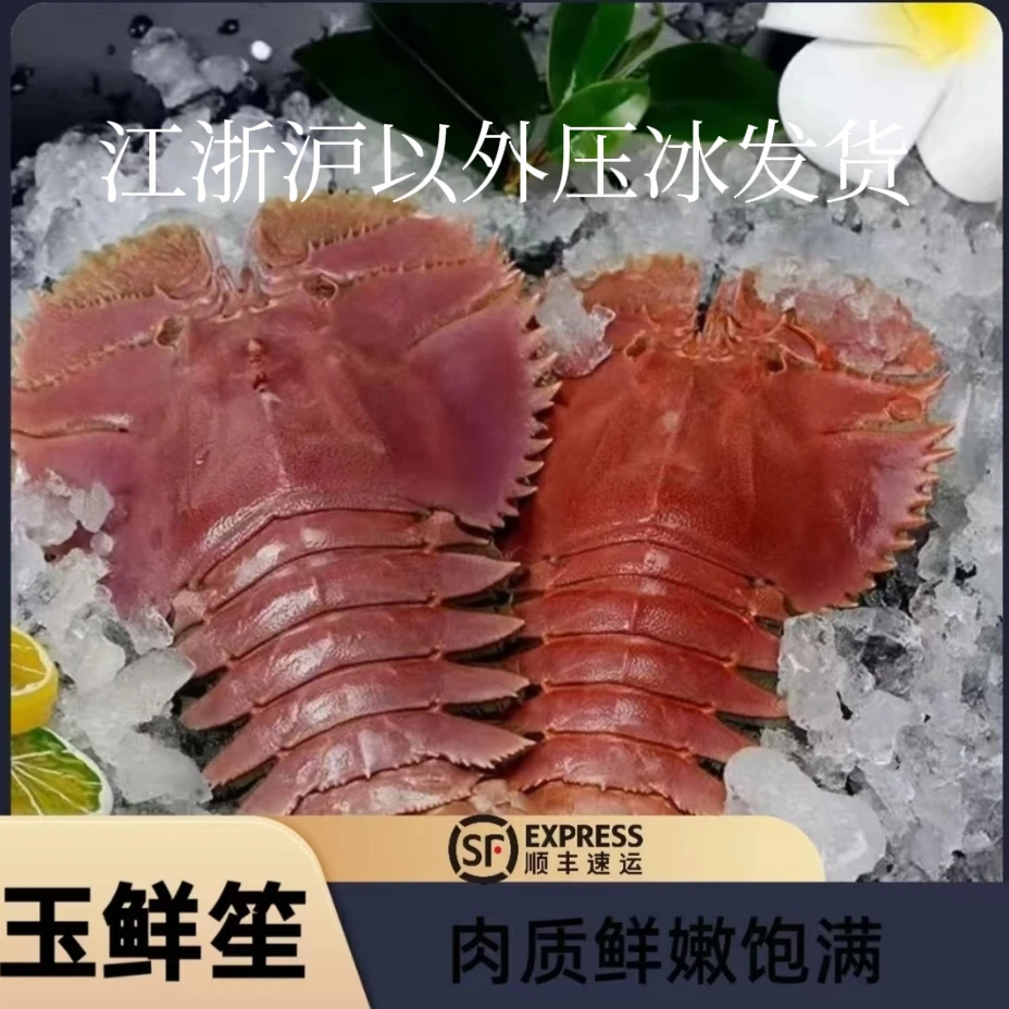 【冰鲜】东海台州鲜香海鲜琵琶虾