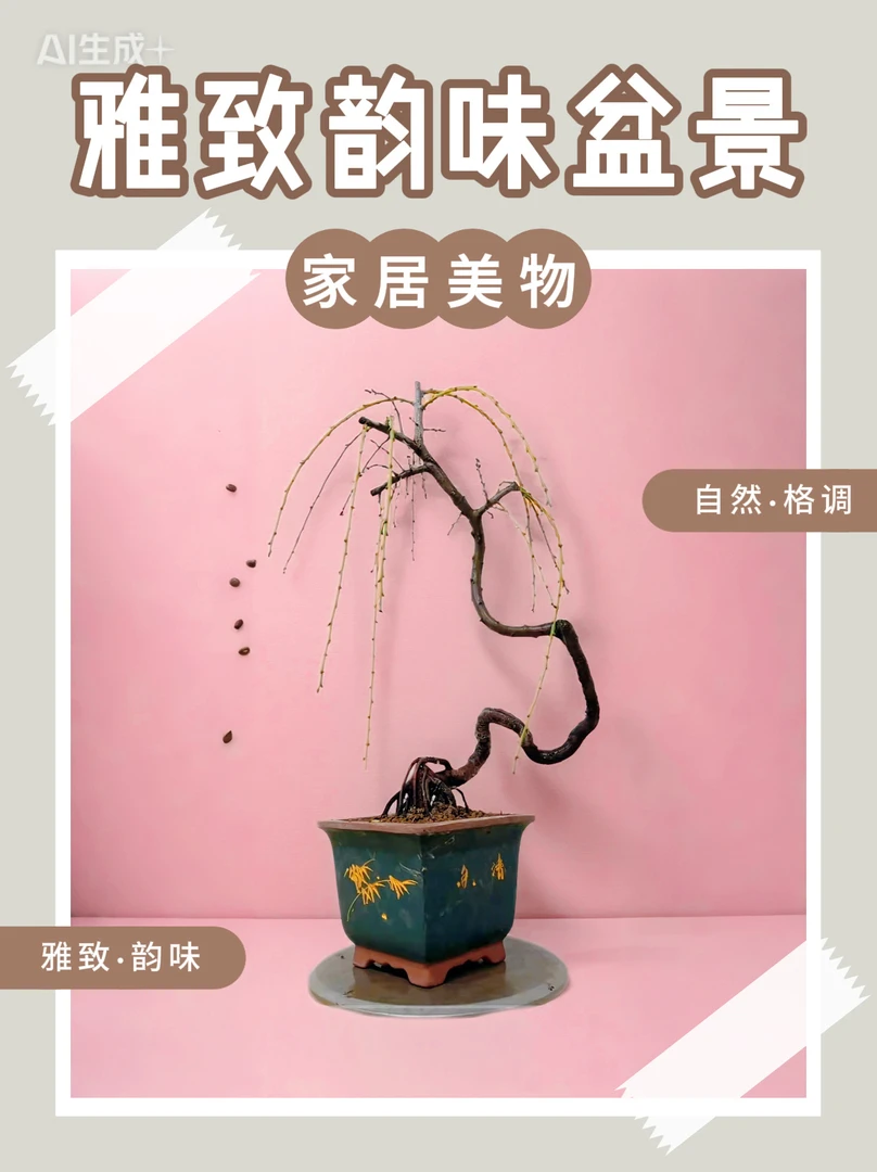 精品垂枝梅花盆景正宗红梅第一名上档次室内盆栽植物花卉基地直销
