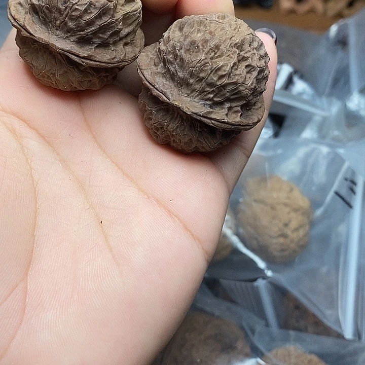 把件文玩核桃    7h