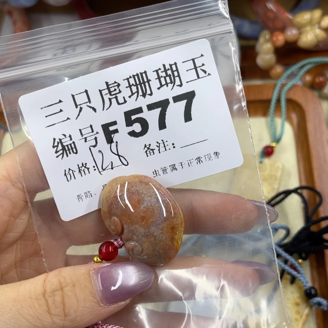 T***y未镶嵌h硅化珊瑚（珊瑚玉）