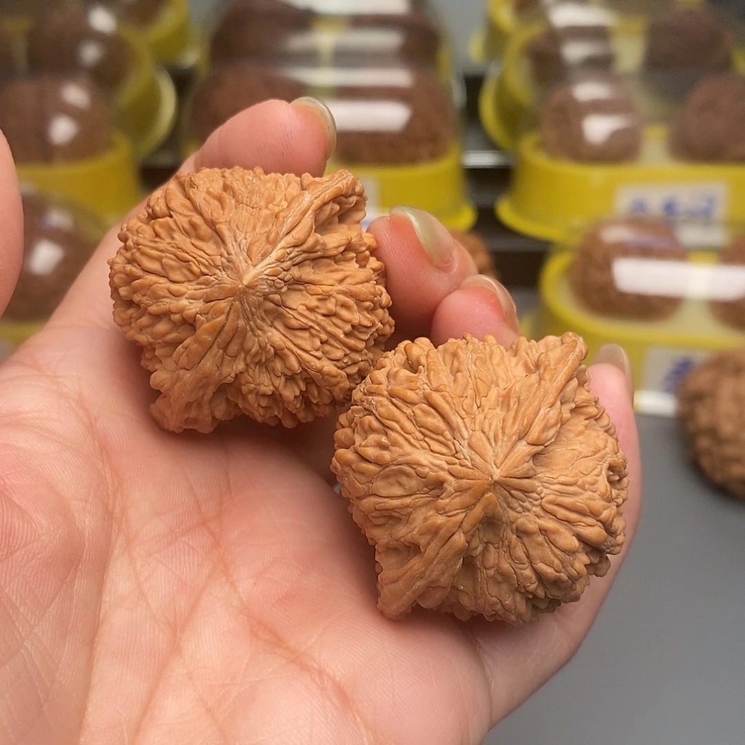 木质类文玩核桃满天星