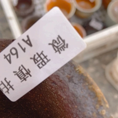柴烧柴烧柴烧柴烧柴烧中**物