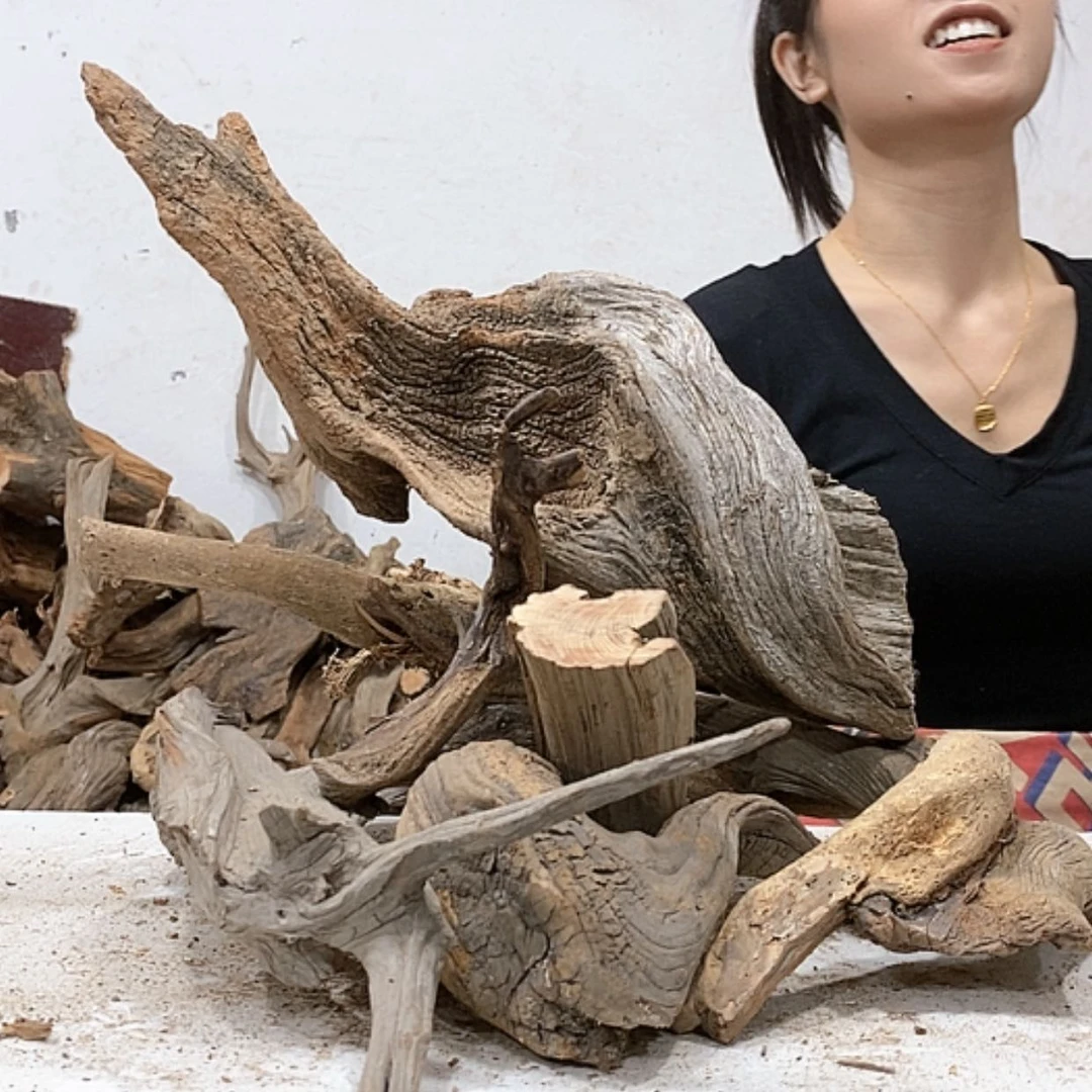 【闪购商品】柏木忆*我们都是好孩子