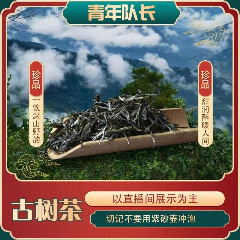 九  . 十五  2024年老班章     散茶 500g