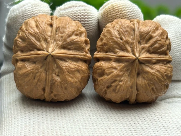 37mm豆腐块四棱 一物一图