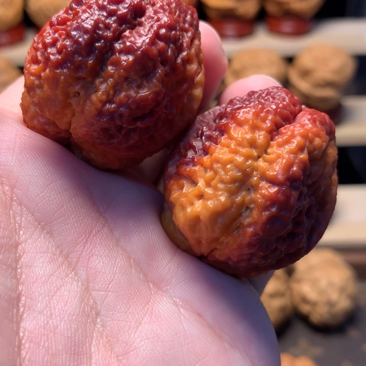 文玩核桃把件40蚂蚁