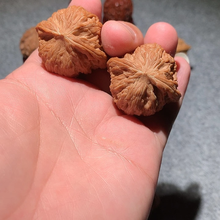 把件文玩核桃山地磨盘39