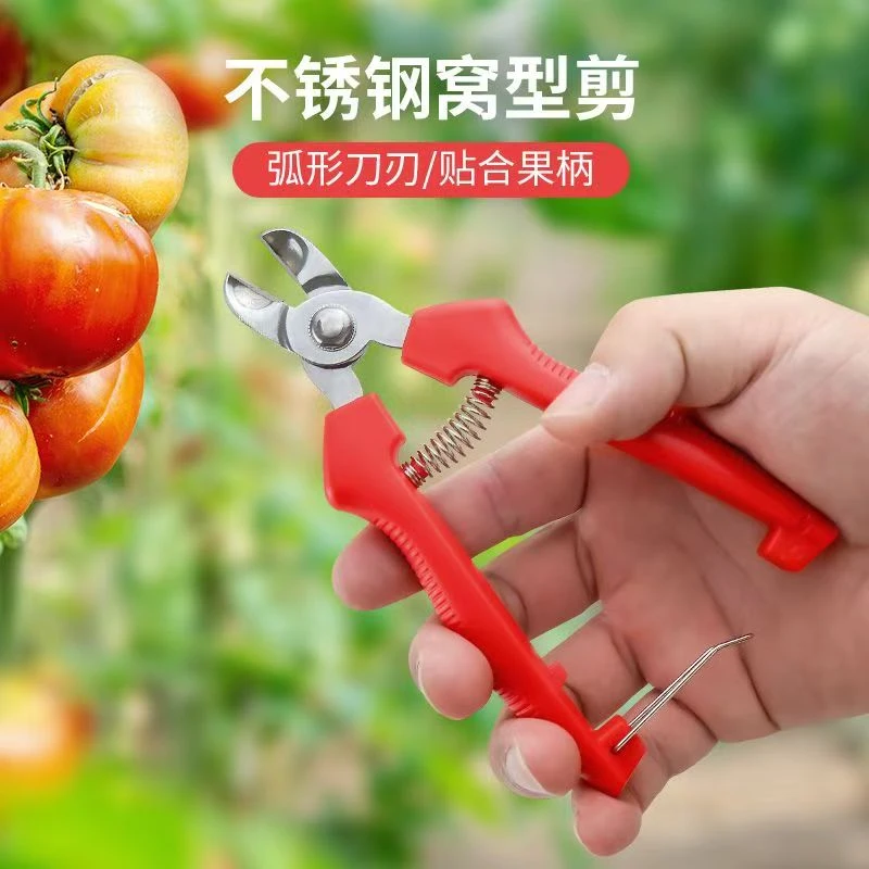 窝型摘果剪番茄苹果专用橘子窝子剪采摘水果果柄凹形脐橙修枝剪