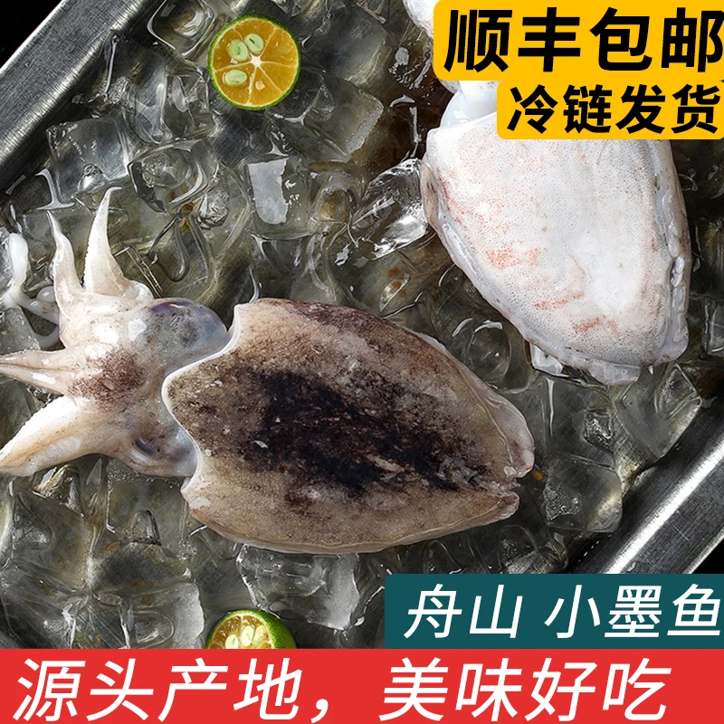 舟山特产东海小墨鱼海捕新鲜冷冻乌贼目鱼整只墨鱼仔花枝海鲜水产