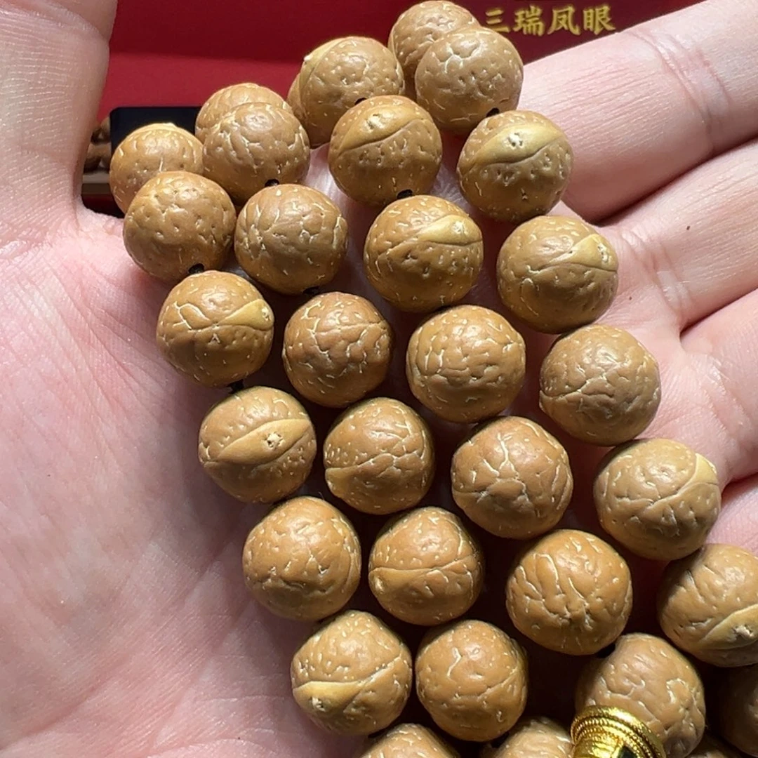手串凤眼菩提14mm尼泊尔凤眼菩提单圈随机发一条