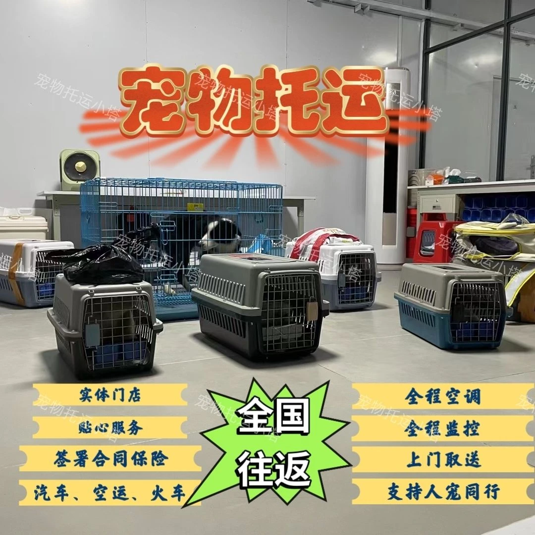 丨狗狗丨顺丰专线全国运通用链接