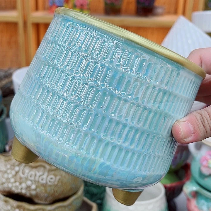 多肉植物陶瓷花盆