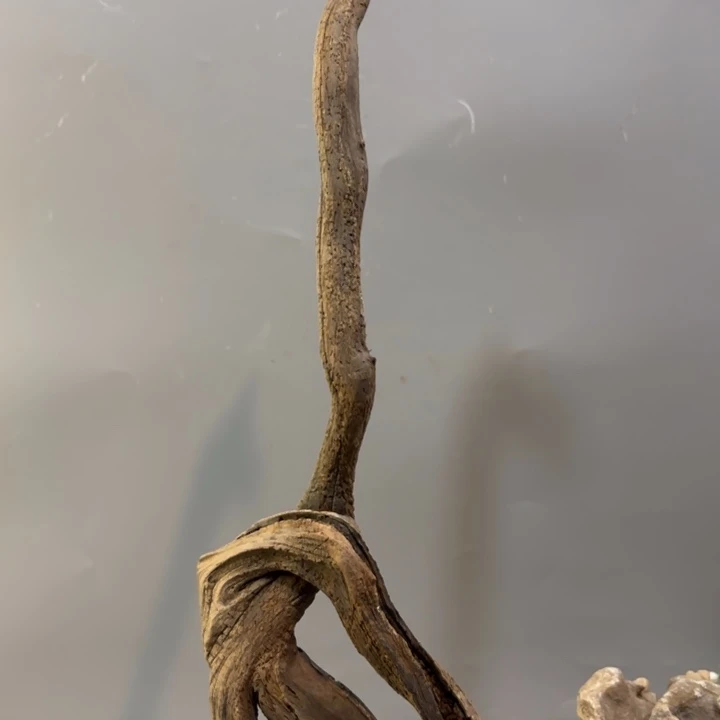 李***平崖柏意境造型摆件料