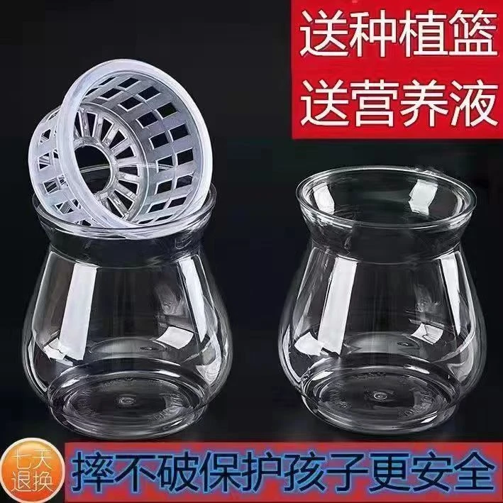 【厂家直销】高透明塑料水培郁金香富贵竹莲花竹大蒜洋葱蔬菜器皿